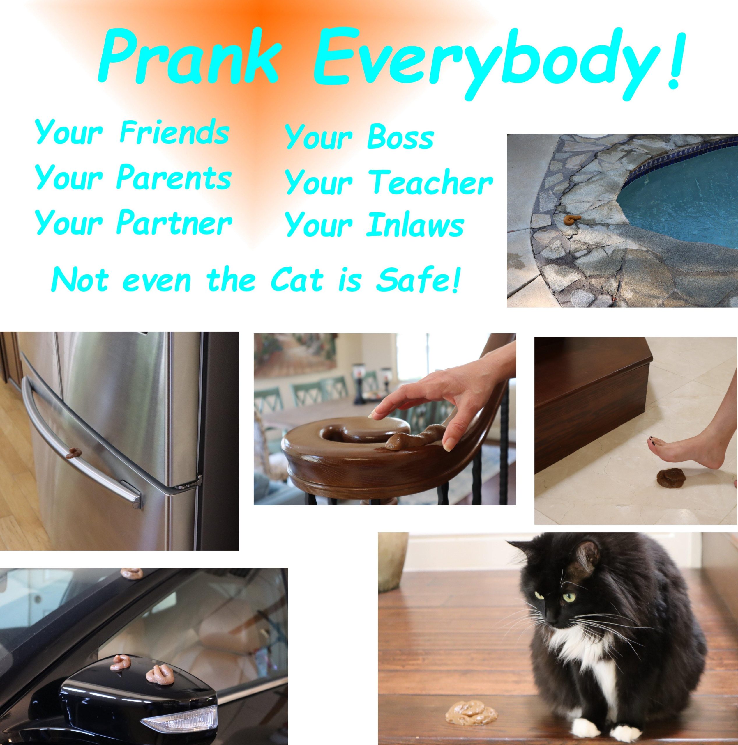 The Specimen Bag Of Shit 5 Sticky 1 Floating Real Looking Fake Poops 4